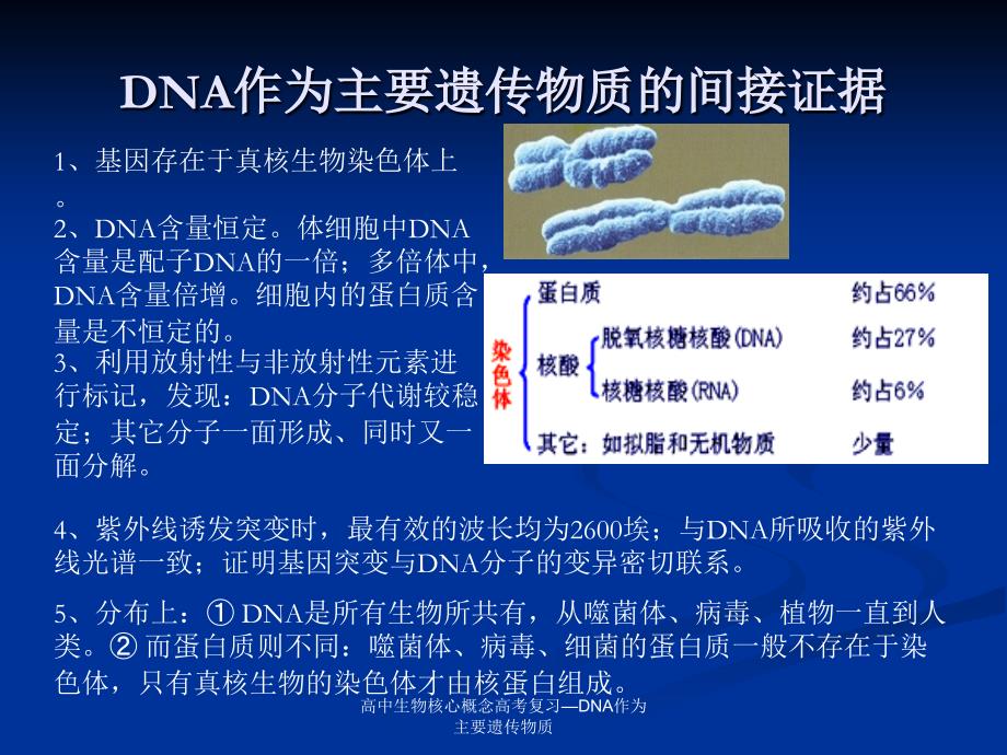 高中生物核心概念高考复习—DNA作为主要遗传物质课件_第1页