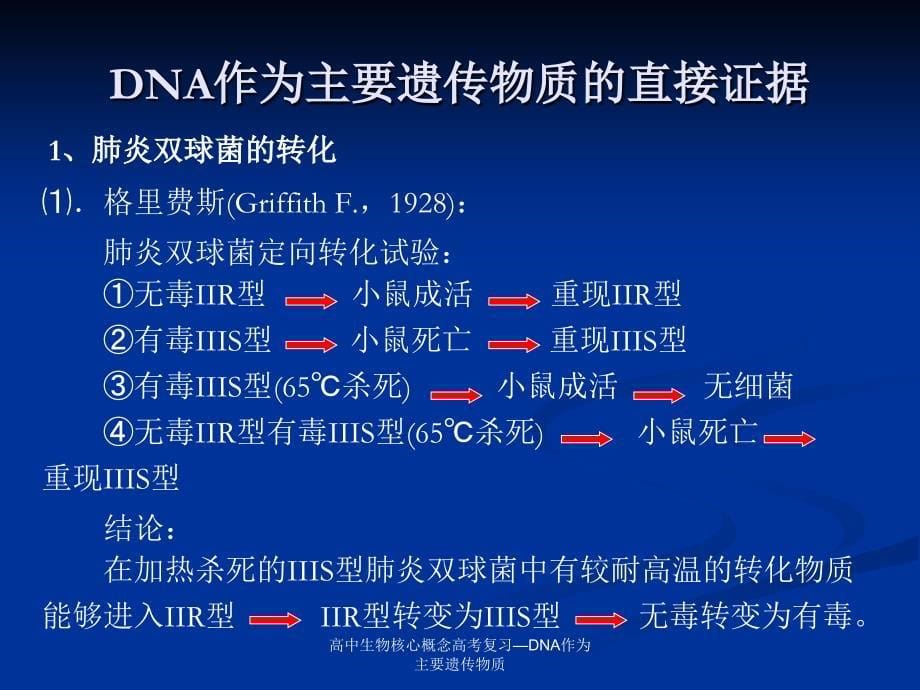 高中生物核心概念高考复习—DNA作为主要遗传物质课件_第5页