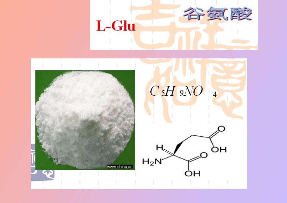 谷氨酸的生产工艺_第2页