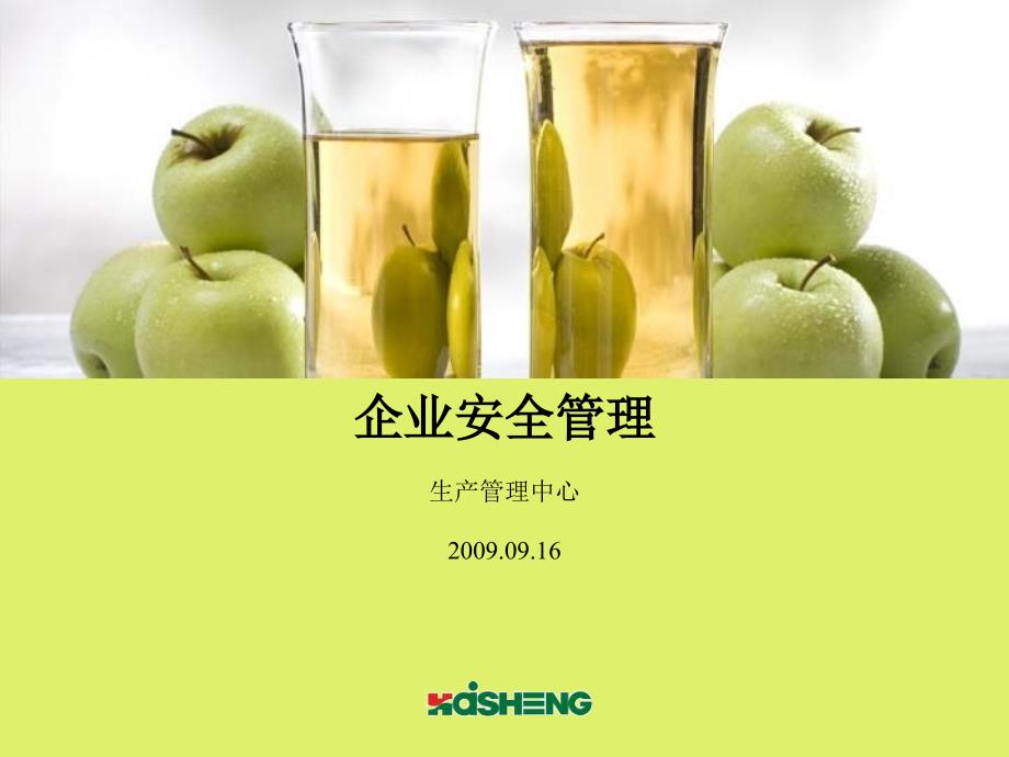 企业安全管理16576_第1页
