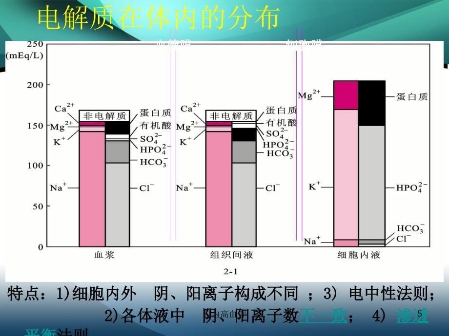 科内高血钾课件_第5页