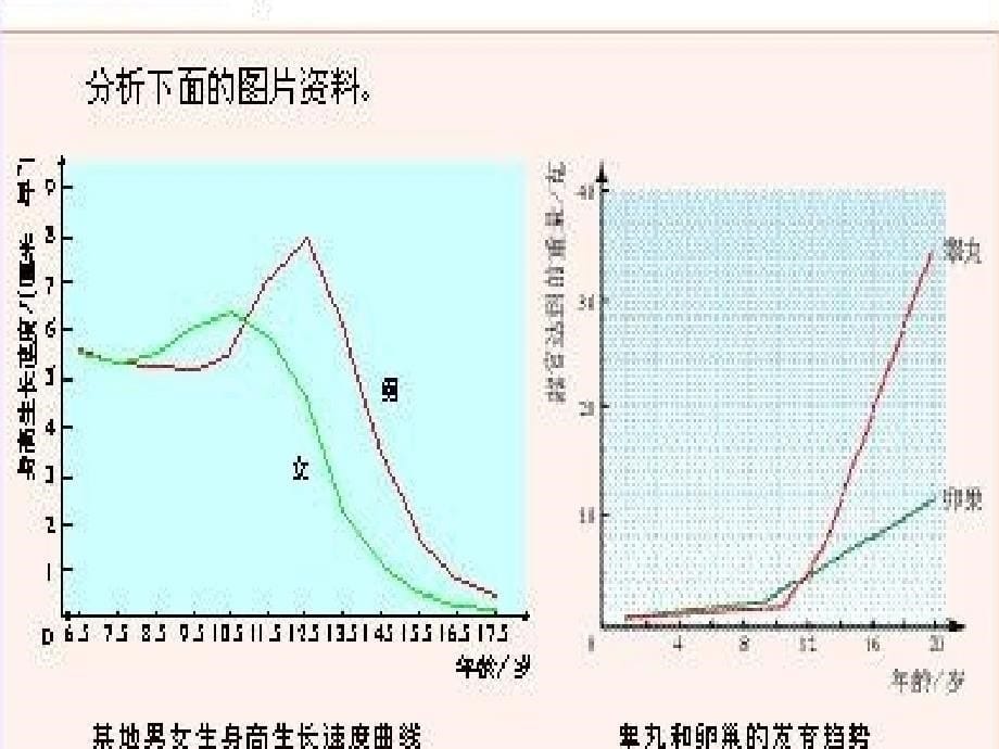 小学五年级健康教育课《青春发育期的生理变化》.ppt_第5页