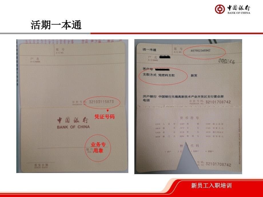 中国银行培训课件：柜面常见凭证及其相关要素_第5页