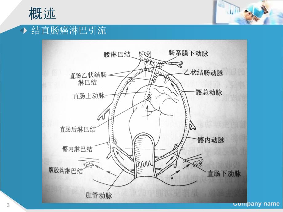 结直肠癌肝转移诊断和综合治疗指南解读_第3页