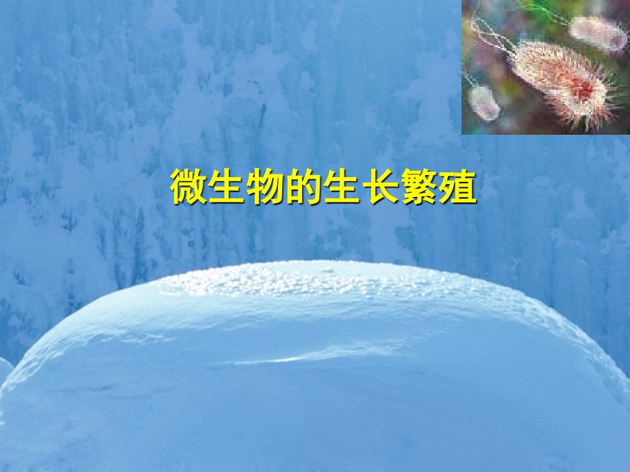 环境微生物学教学ppt课件131生长繁殖_第1页