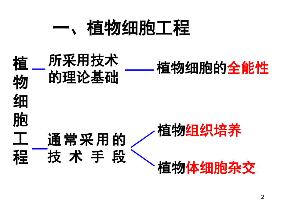 高中生物细胞工程课堂PPT_第2页