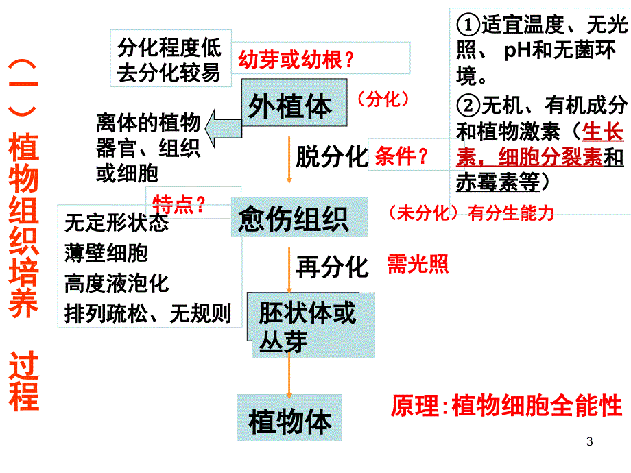 高中生物细胞工程课堂PPT_第3页