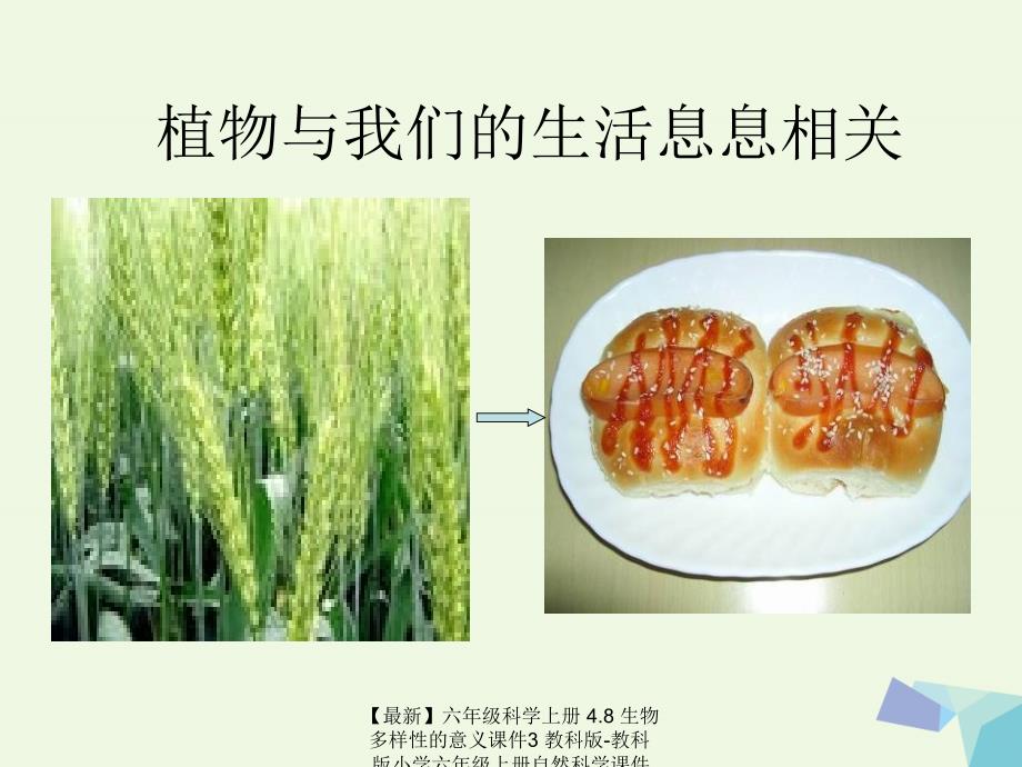 最新六年级科学上册4.8生物多样性的意义课件3教科版教科版小学六年级上册自然科学课件_第3页