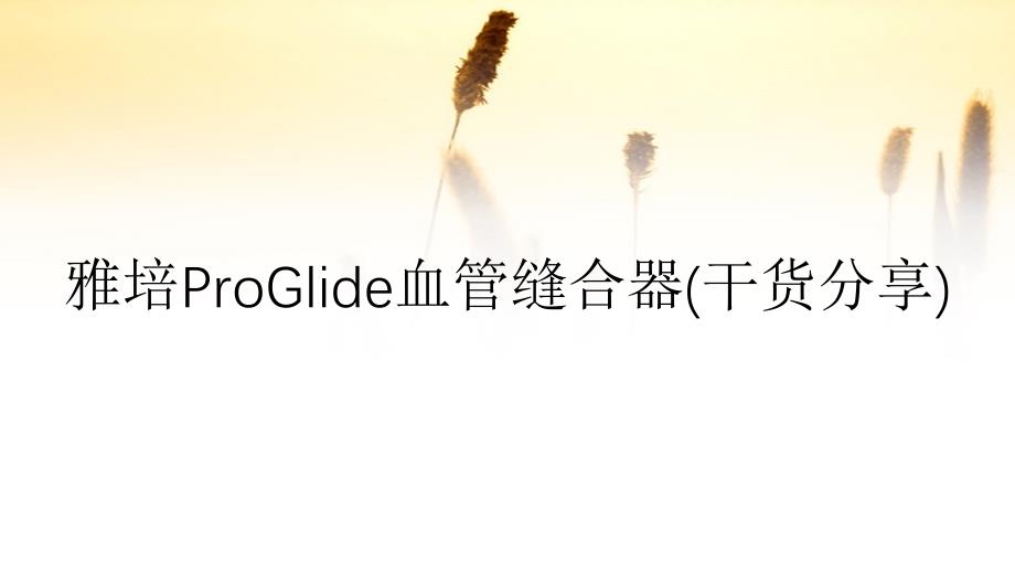 雅培ProGlide血管缝合器(干货分享)_第1页