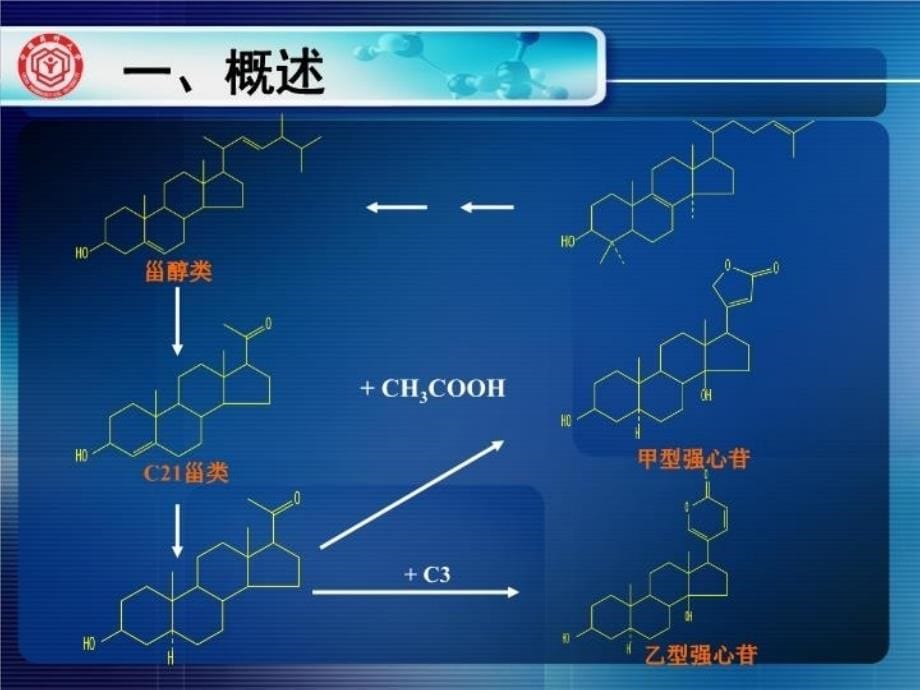 最新天然药物化学13教学课件_第5页