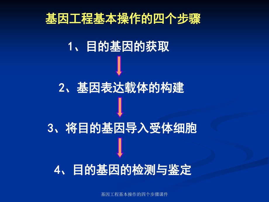 基因工程基本操作的四个步骤课件_第2页