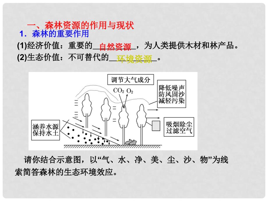 高中地理 第二章第二节森林的开发和保护 以亚马孙热带雨林为例课件 新人教版必修3_第3页