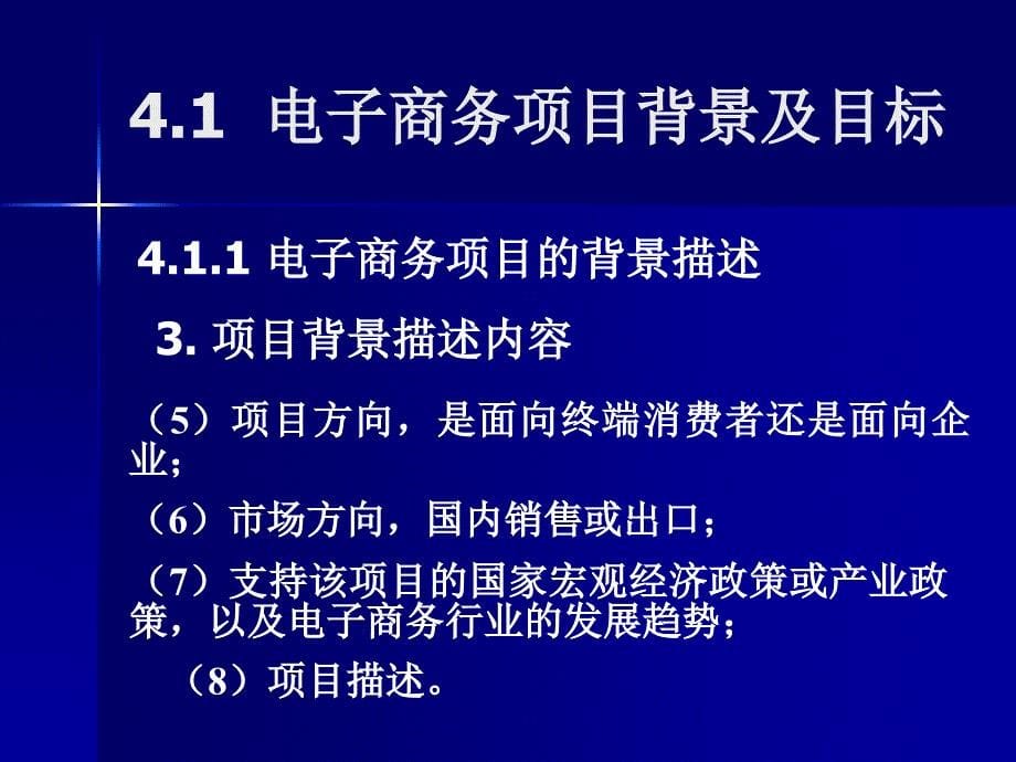 电子商务项目计划阶段_第5页