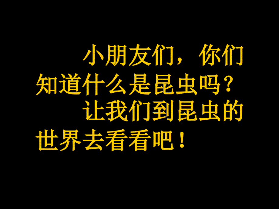 小班科学认识昆虫.ppt_第2页