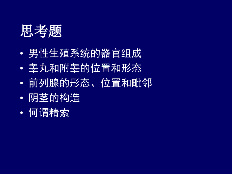 解剖学教学课件：11男性生殖系统_第1页