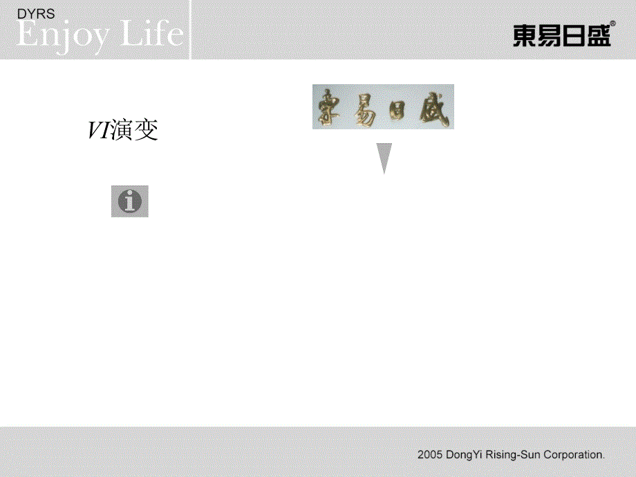 《东易日盛VI系统》PPT课件.ppt_第4页