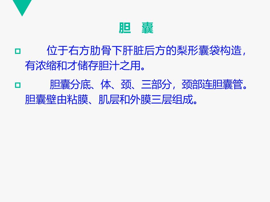 腹腔镜胆囊切除术患者的教学查房课件_第3页