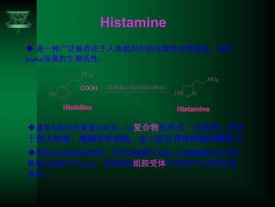 抗过敏药-1摘要课件_第5页