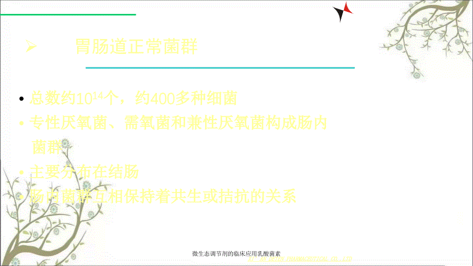 微生态调节剂的临床应用乳酸菌素_第3页