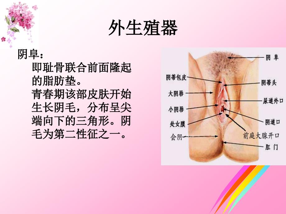 大学生生理健康_第4页