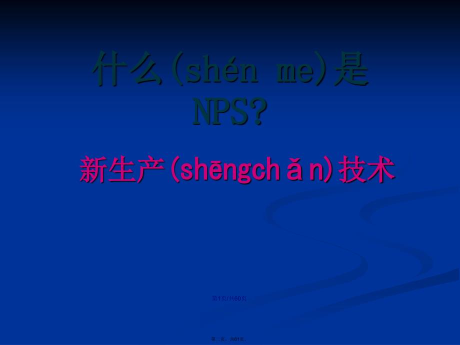 NPS生产系统学习教案_第2页