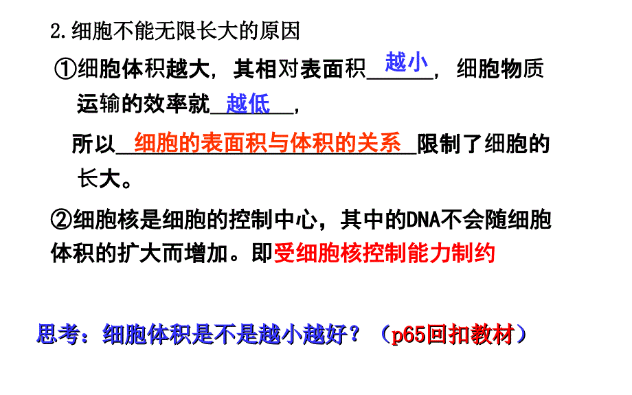 12细胞的增殖_第3页