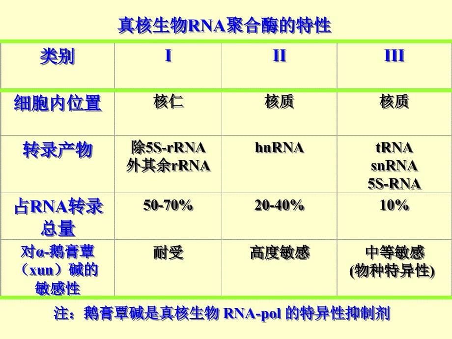 真核生物的转录和后加工_第5页