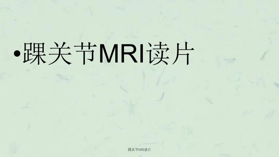 踝关节MRI读片课件_第1页