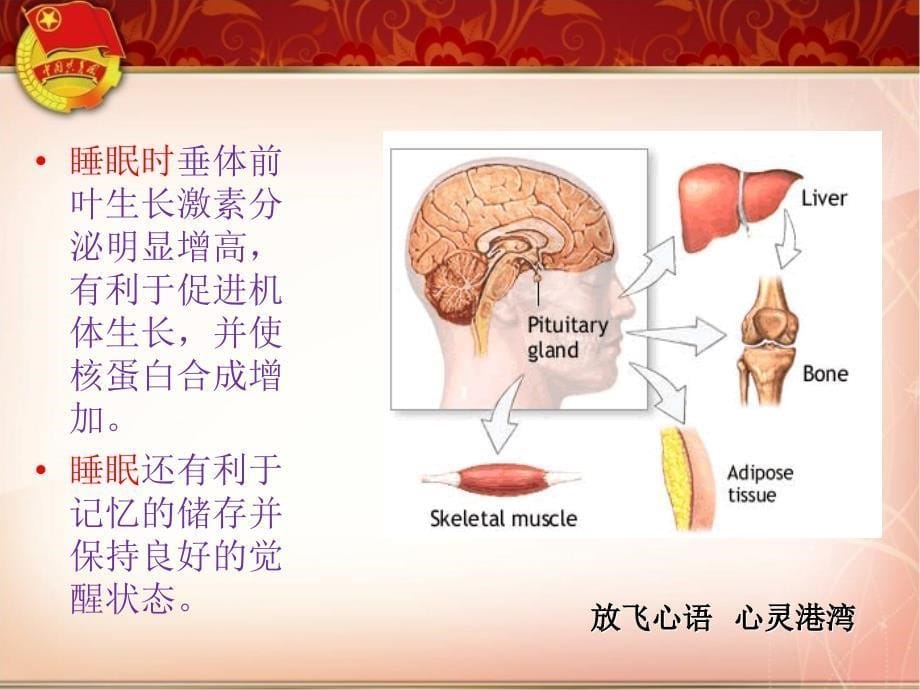 睡眠的心理调节PPT优秀课件_第5页