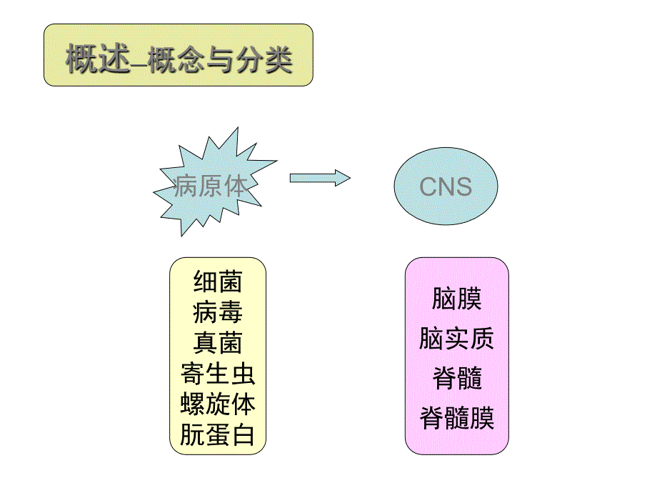 中枢神经系统感染性疾病_第3页