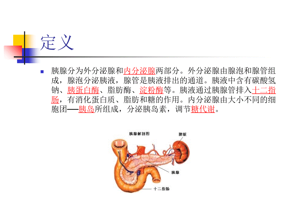 《胰腺的解剖位置》PPT课件_第3页