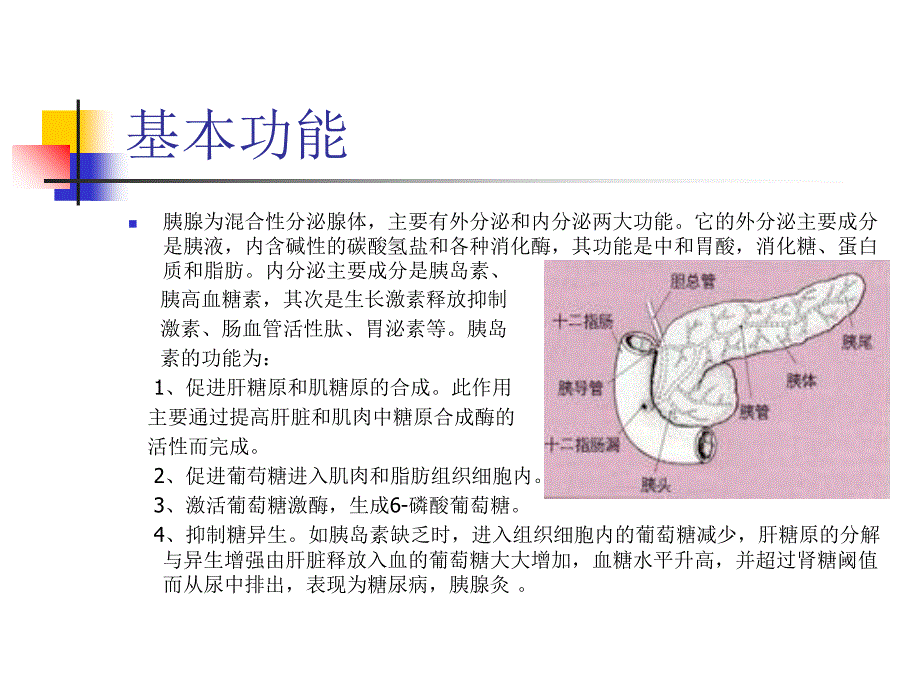 《胰腺的解剖位置》PPT课件_第4页