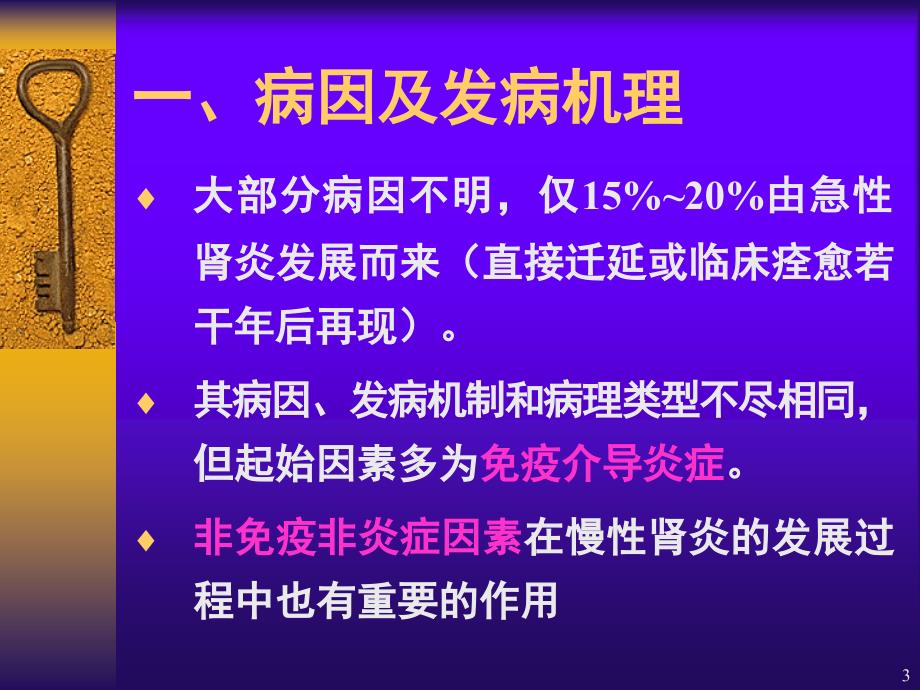 慢性肾炎PPT演示课件_第3页