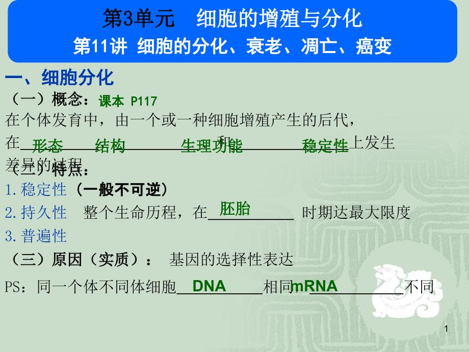 细胞分化、衰老、凋亡、癌变_第1页