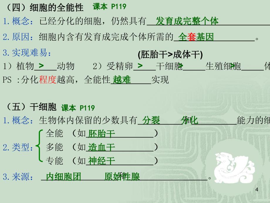 细胞分化、衰老、凋亡、癌变_第4页