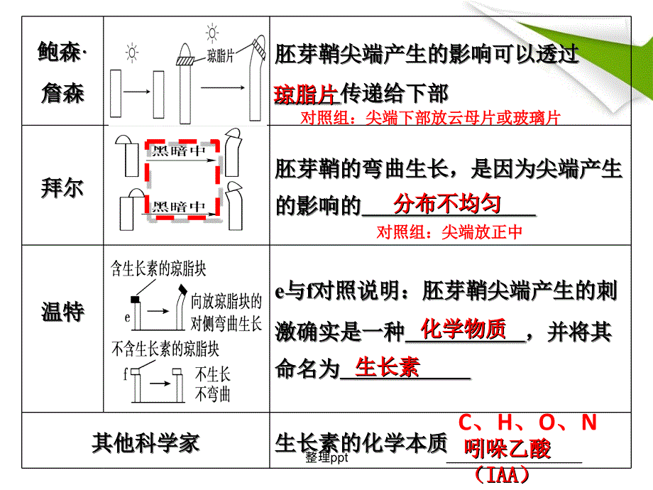 高三生物一轮复习植物的激素调节1_第3页