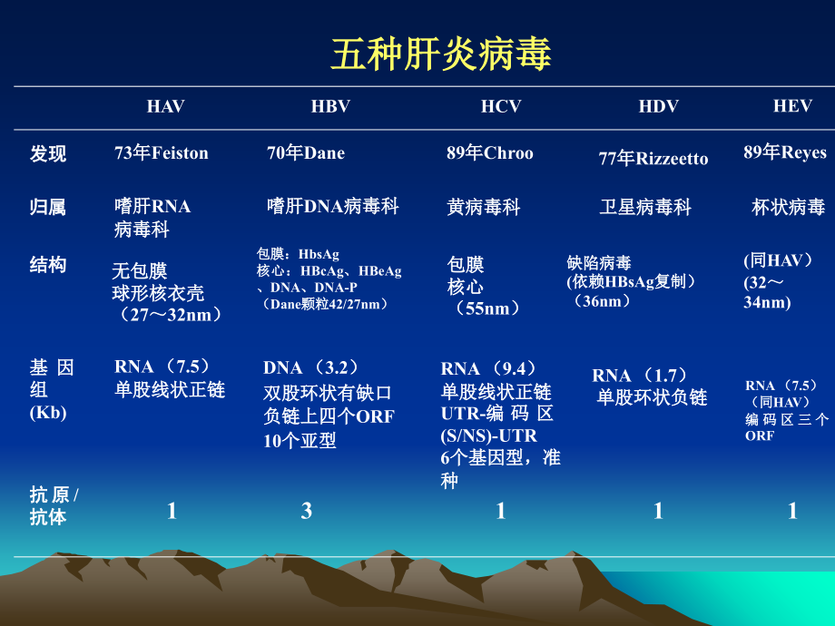 病毒性疾痛病毒性肝炎_第4页