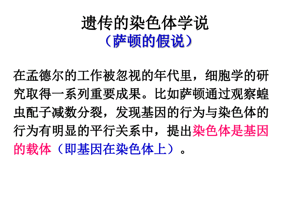 高中生物学浙科版必修二基因在染色体上的DNA复制与伴性遗传_第2页