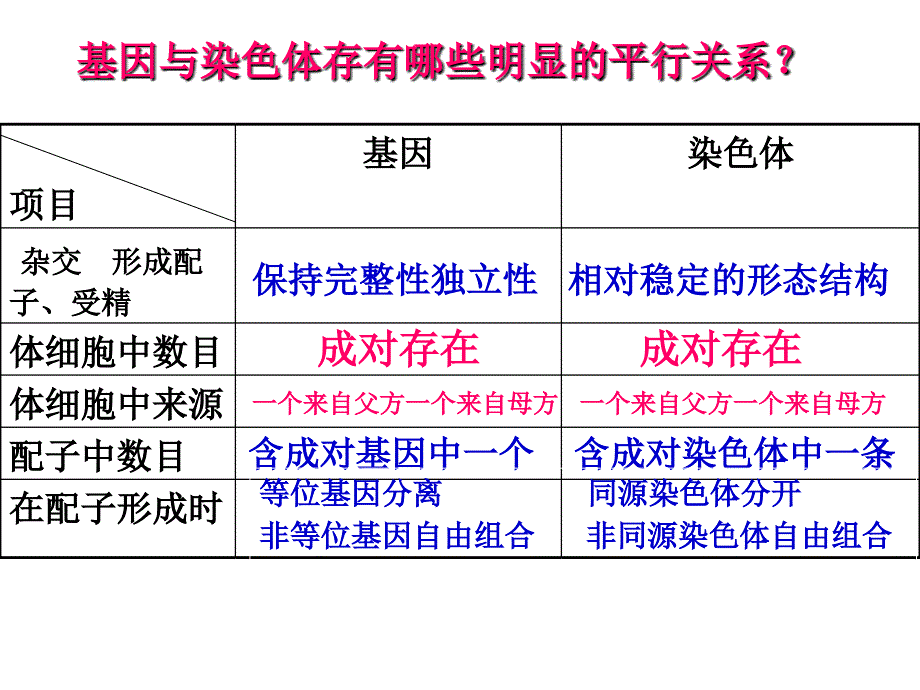 高中生物学浙科版必修二基因在染色体上的DNA复制与伴性遗传_第4页