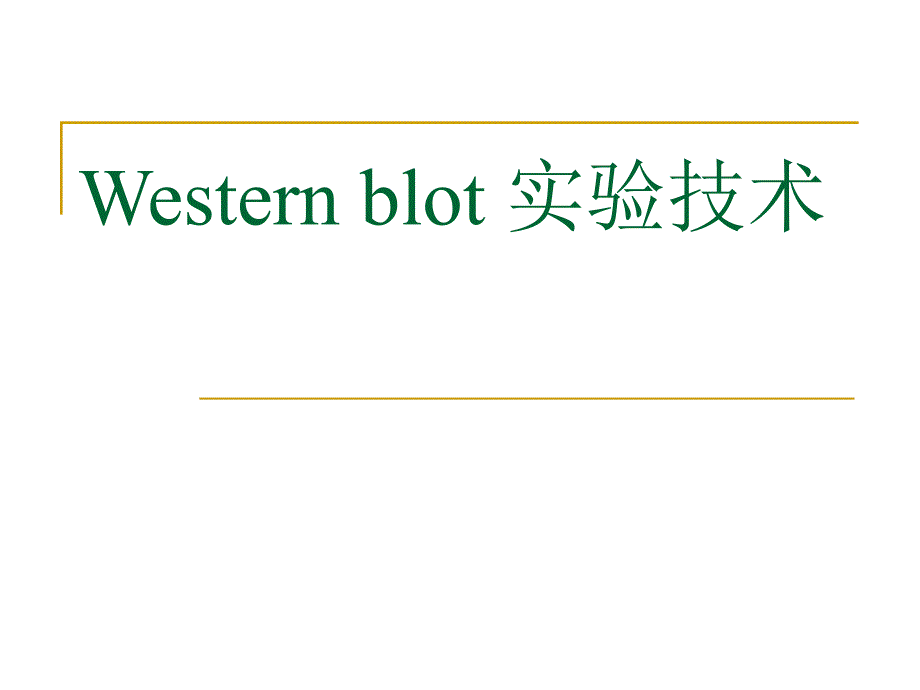 western+blot+ppt资料课件_第1页