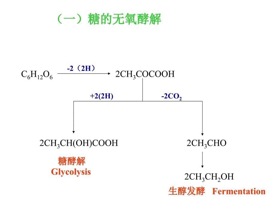 多糖和低聚糖的酶促降解_第5页