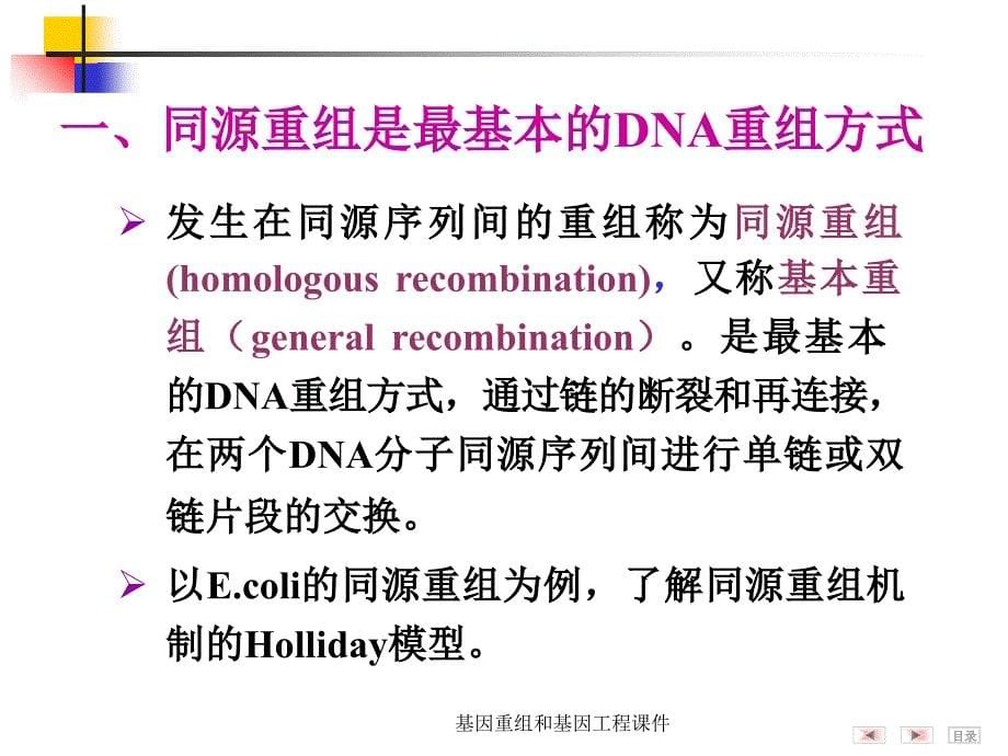 基因重组和基因工程课件_第5页