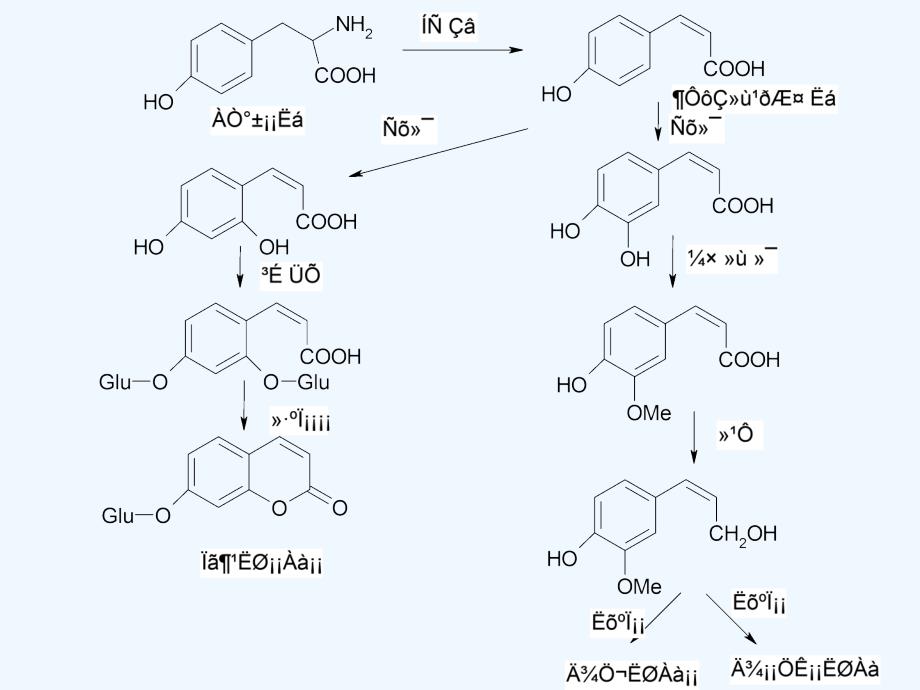 天然药化苯丙素类_第2页