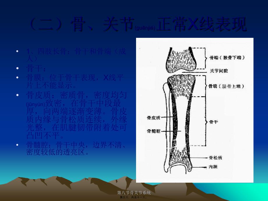 第八节骨关节系统课件_第3页