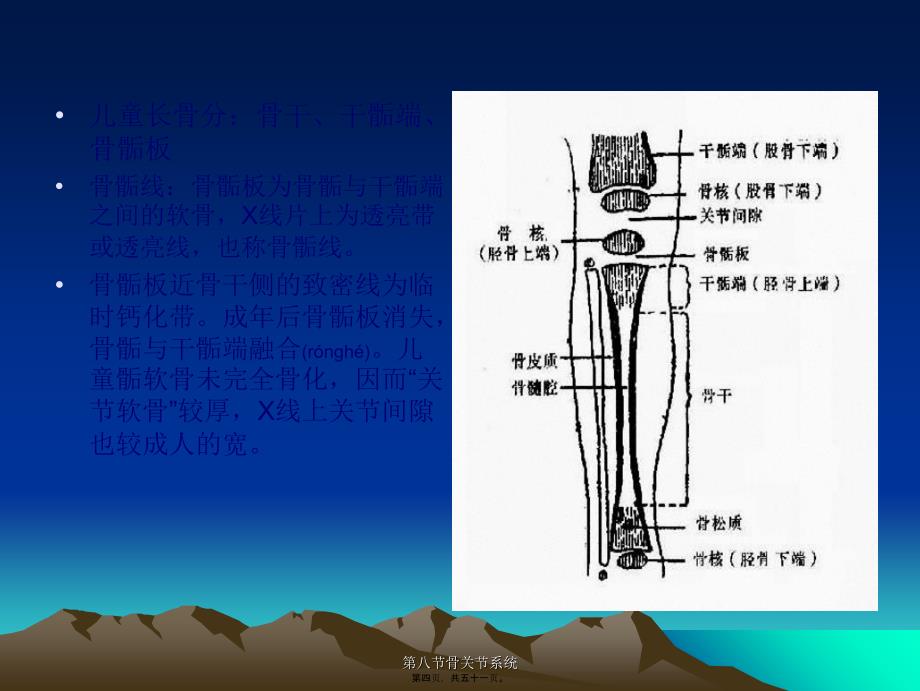 第八节骨关节系统课件_第4页