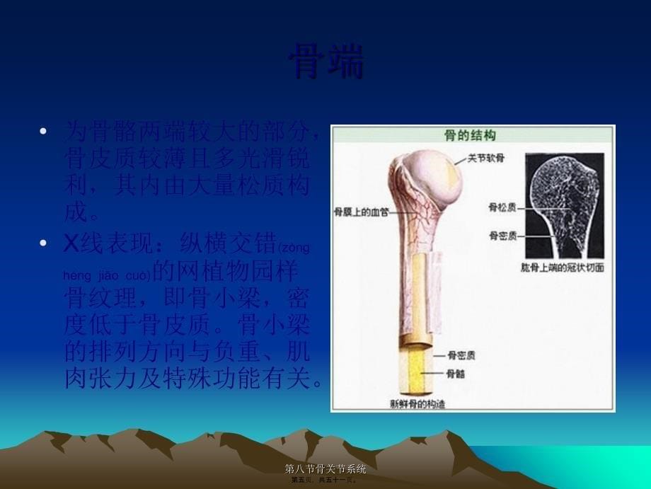 第八节骨关节系统课件_第5页