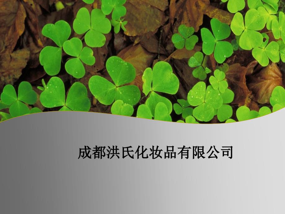 咨询师培训资料给力的PPY模板.ppt_第1页