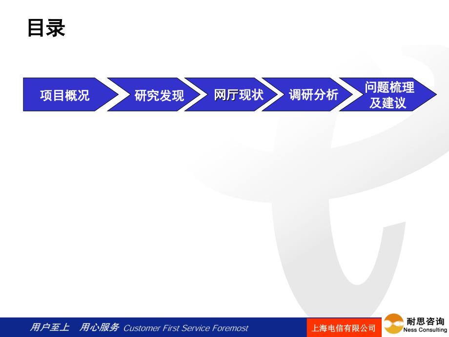 电信网上渠道研究调研报告_第2页