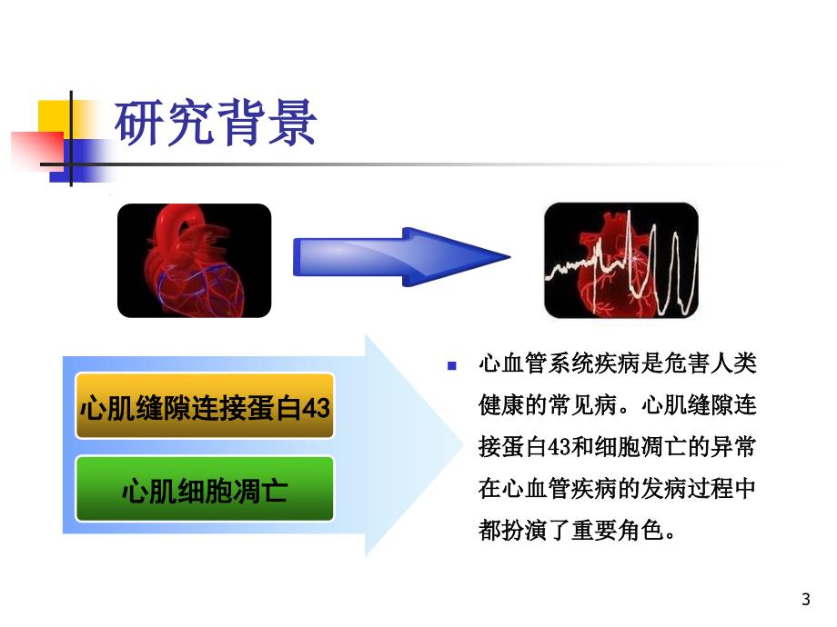 益气活血药对心肌组织及H9C2细胞Cx43表达和的影响_第3页