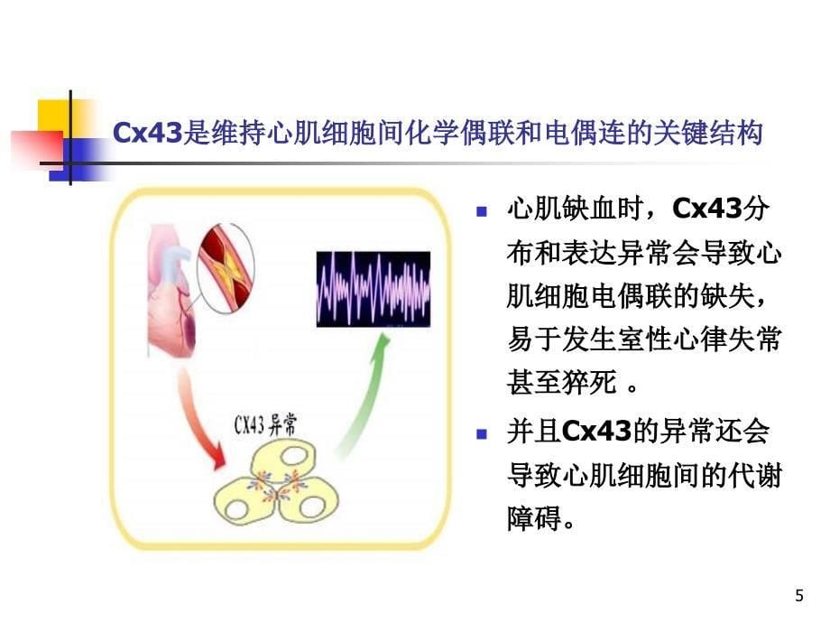 益气活血药对心肌组织及H9C2细胞Cx43表达和的影响_第5页